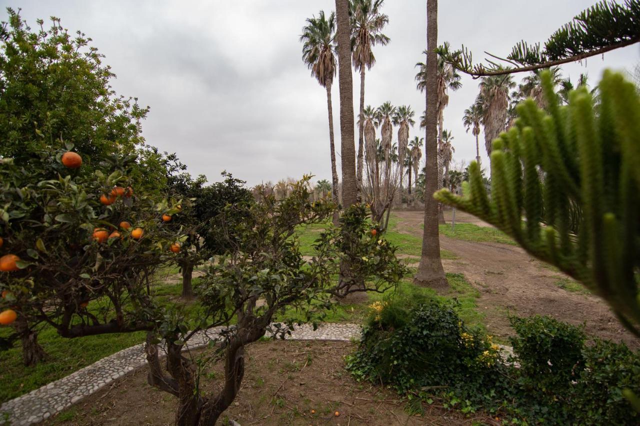 Villa Del Riu Deltebre Esterno foto